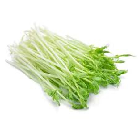 Pea Sprouts [punnet] 100g