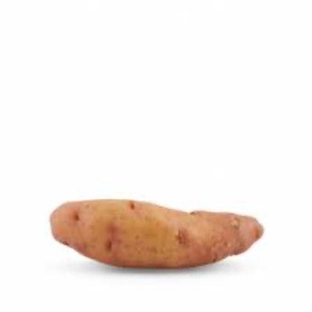 Pomme de terre Ratte