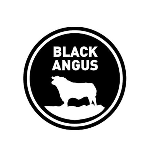 Bœuf Black Angus USA Bavette Entière 1kg